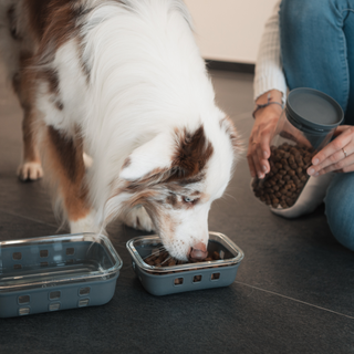 VORRATSBOX Glas inkl. Schutz & Ventil | 640ml