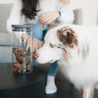 Geruchsdichte Aufbewahrung von Hundeleckerlis im 1000ml Vorratsglas; aromadichter Verschluss schützt Snacks vor neugierigen Hunden.