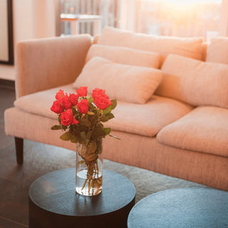 Ein 1000ml HATTY HAYS Vorratsglas zweckentfremdet als elegante Blumenvase mit roten Rosen; Ästhetik und Wohnkomfort im Wohnzimmer.